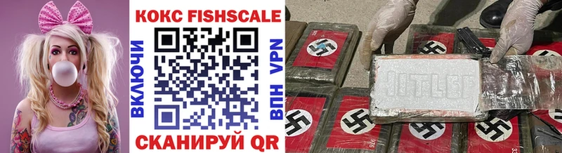 КОКАИН Fish Scale  Купить где  Красновишерск 