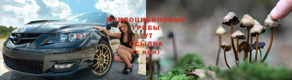 трава Касимов