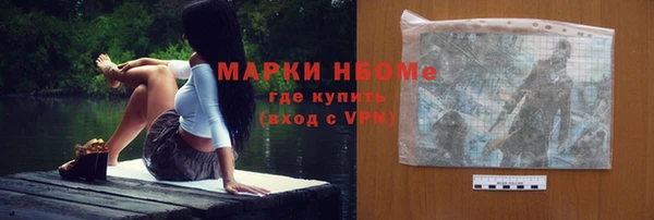 гидра Каменногорск