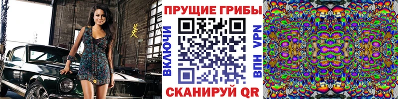 Купить  Красновишерск  Псилоцибиновые грибы мицелий 